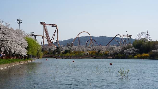 잔잔한 보문호수 위로 벚꽃과 경주월드 놀이시설이 어우러져 만개한 봄 풍경을 이루며, 화사하고 낭만적인 봄 정취를 자아내고 있다./경북문화관광공사 제공