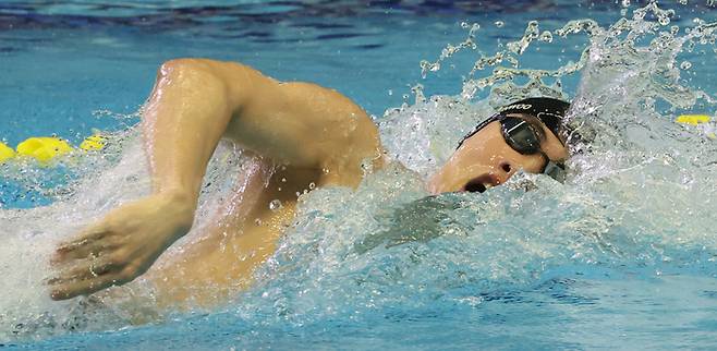 20일 부산 동래구 사직실내수영장에서 열린 제106회 전국체육대회 수영(경영) 남자일반부 자유형 200m 결승에서 황선우(강원도청)가 역영하고 있다. 사진 | 연합뉴스
