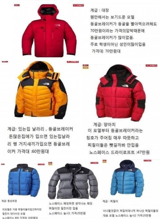 2011년 한 고교생이 만들었다는 학교 내 노스페이스 패딩 계급도. 상위 3개 계급이 '부모 등골 브레이커'에 속한다고 한다. 당시 여론은 큰 충격을 받았다. /인터넷 커뮤니티