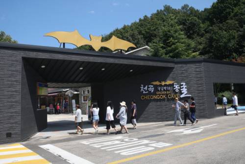 ◇천곡황금박쥐동굴