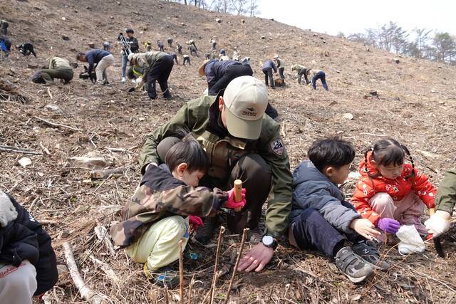 초대형 산불 발생 1주기를 맞아 주왕산국립공원 산불피해지 도토리심기 행사에 참가한 어린이들이 고사리 손으로 도토리를 심고 있다. 주왕산사무소 제공