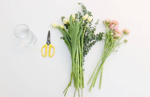 윤 대표가 고른 라넌큘러스·튤립·유칼립투스. 라넌큘러스는 겹겹이 포개진 꽃잎이 특징으로 서너줄기만 꽂아도 풍성해 보인다. 김원철 프리랜서 기자