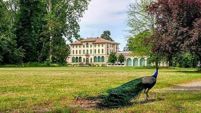 미냐니 로카 재단 미술관의 전경. 엑스 @MagnaniRocca 갈무리