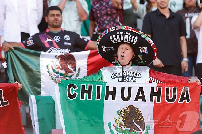 멕시코를 응원하는 팬들 ⓒ AFP=뉴스1