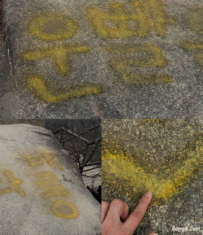 사진=김영호 기자 rladudgh2349@donga.com