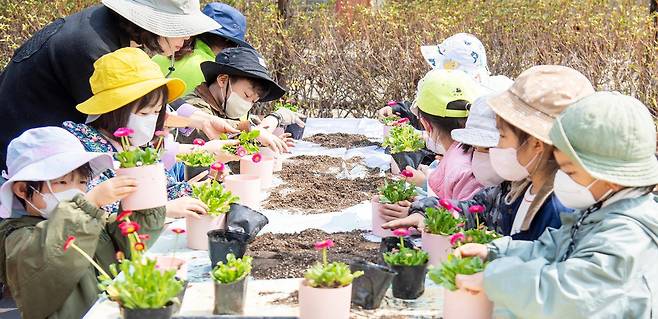 26일 오전 서울 용산구 효창공원에서 용산구 소재 어린이집 유아들이 유아숲지도사의 지도에 따라 잉글리시 데이지 모종을 화분에 옮겨 심고 있다. 이 체험은 서울시 ‘정원처방’ 사업의 일환인 ‘유아숲체험’ 프로그램으로 자연과의 교감을 통해 유아의 정서 발달과 전인적 성장을 돕기 위해 마련됐다. 용산구청 제공