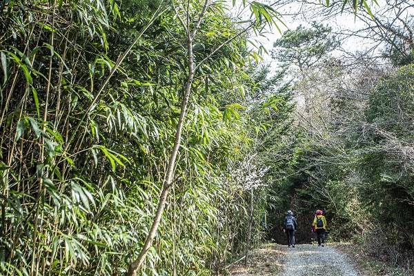 달마고도는 달마산 둘레를 한 바퀴 걷는 17.74km의 걷기길이며, 완주에 6~7시간이 걸릴 정도로 쉽지 않다. 하지만 대부분 산길이며, 미황사를 기점으로 원점회귀 가능하며 자연미가 빼어나다. 매년 3월 말 해남군에서 '힐링걷기' 축제를 연다.