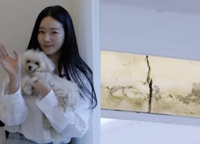 배우 김사랑이 인테리어 시공 불량과 업체 잠적 피해를 토로했다. /유튜브