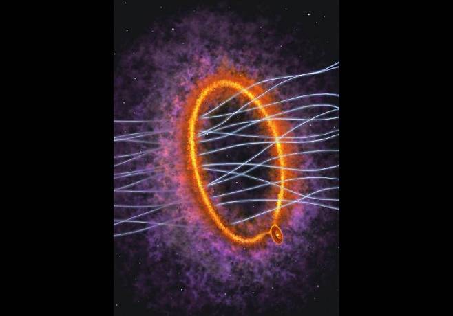 ALMA 관측 데이터를 바탕으로 재현한 황소자리 분자운 속 어린 별 상상도. 아래쪽 어린 별과 원반에서 가스가 거대한 고리 형태로 뻗어 나오고 자기력선(흰 선)이 고리 내부를 관통하는 모습을 묘사했다. Y. Nakamura, K. Tokuda 제공