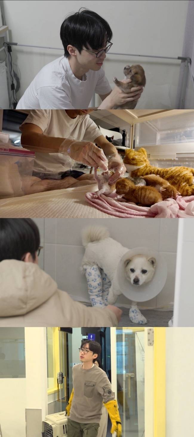 MBC ‘전지적 참견 시점’ 제공