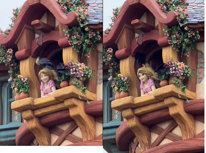 일본 도쿄의 도쿄 디즈니씨에서 까마귀가 디즈니 공주 라푼젤 조형물을 훼손하는 장면이 포착되며 온라인에서 화제를 모으고 있다. 틱톡 갈무리 @mryafng