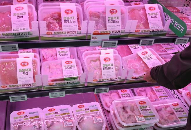 서울 시내 대형마트를 찾은 시민이 닭고기를 고르고 있다. /사진=뉴스1