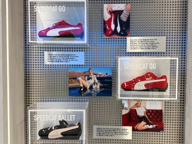 푸마 '스피드캣'./사진=윤서영 기자 sy@
