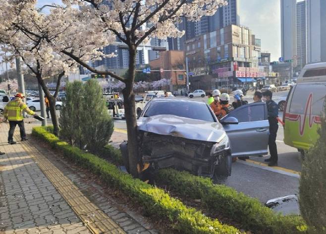 사진=강원특별자치도소방본부 제공