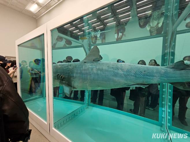 데미안 허스트, 살아있는 자의 마음 속 죽음에 물리적 불가능성 옆모습.