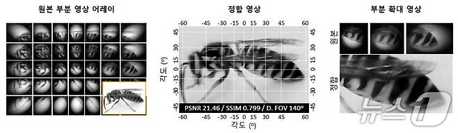 마이크로렌즈 배열로 촬영된 부분 영상들을 결합해 하나의 장면으로 재구성한 결과(KAIST 제공) /뉴스1