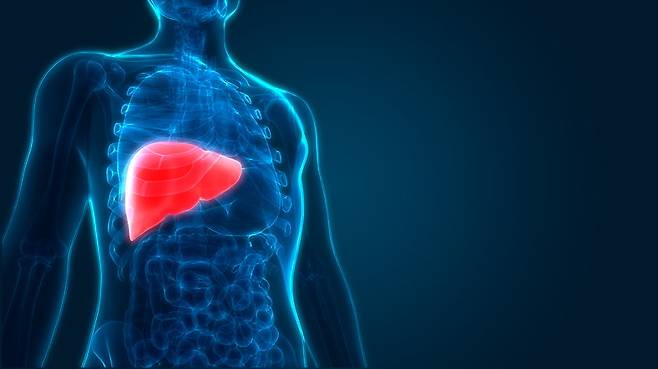 사진=게티이미지뱅크.