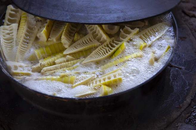 순에는 ‘사이아노젠’이라는 천연 독성 물질이 들었다. 사이아노젠은 청산가리 계열의 독성 물질로 체내에서 분해돼 시안화수소를 생성한다./사진=클립아트코리아
