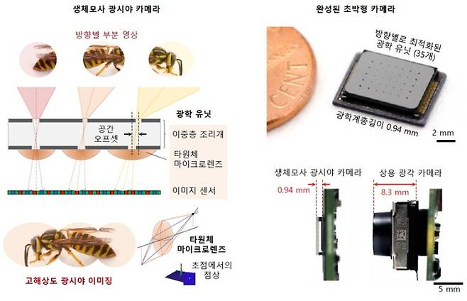 곤충의 겹눈 시각 원리를 모사한 카메라 구조 개념도와 제작된 초박형 카메라 사진. KAIST 제공