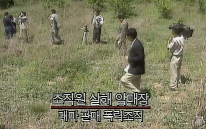 1994년 안양 AP파 살인사건 발생 당시 mbc뉴스 보도 모습. mbc 갈무리=뉴스1