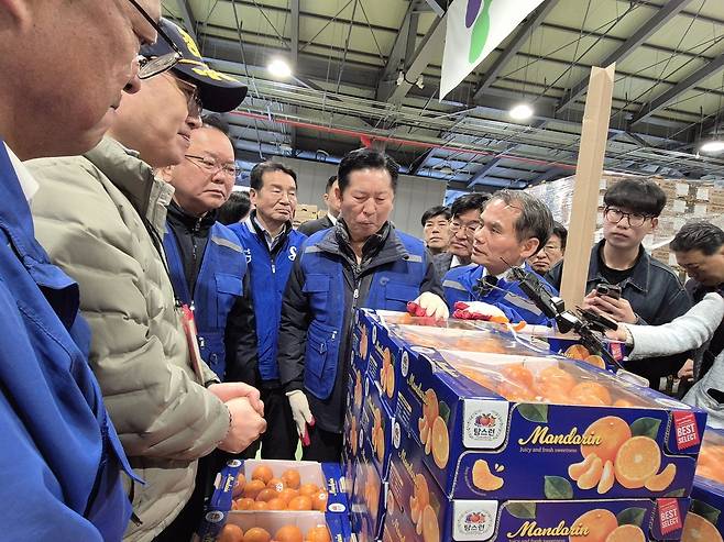 더불어민주당 정청래 대표가 8일 대구 북구 대구농수산물도매시장에서 ‘국민 곁으로! 현장 속으로!’ 민생현장 체험을 하며 귤을 맛보고 있다.