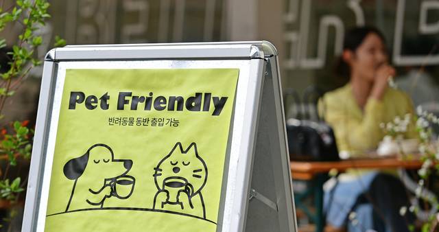 대구 중구 공평로 대형카페인 인더매스 매장 입구에 반려동물 동반 출입 가능함을 알리는 입간판이 세워져 있다. 김진홍 기자
