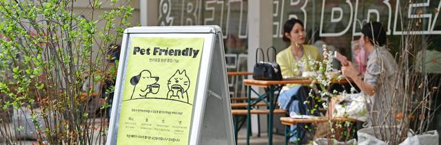 대구 중구 공평로 대형카페인 인더매스 매장 입구에 반려동물 동반 출입 가능함을 알리는 입간판이 세워져 있다. 김진홍 기자