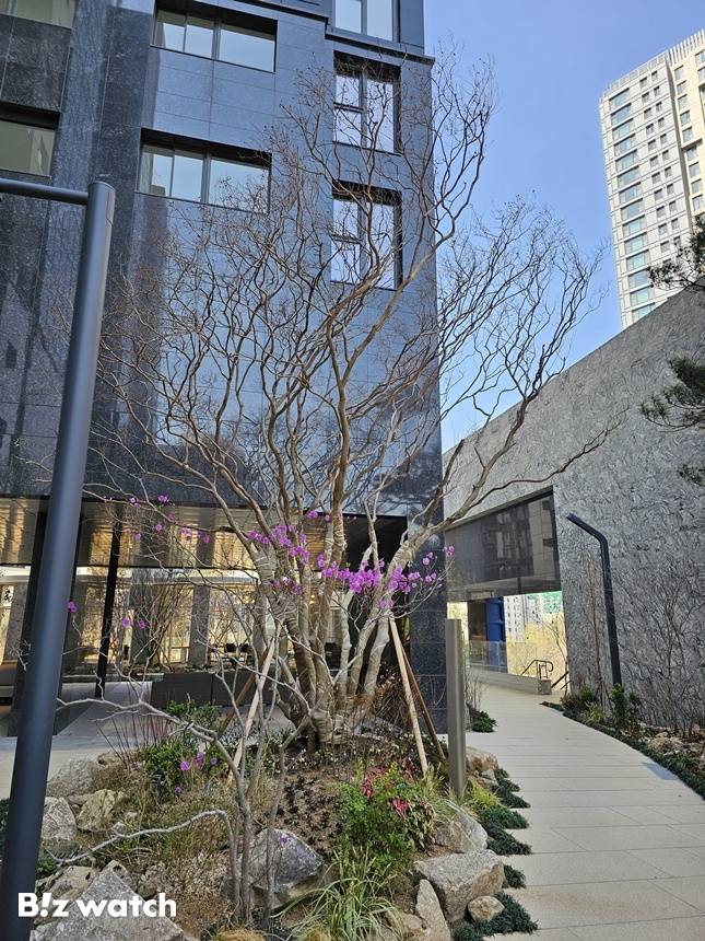 오티에르 반포에 식재된 수목./사진=김준희 기자 kjun@