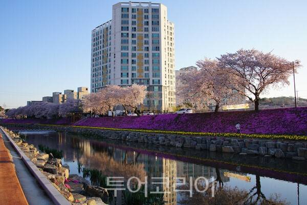 순창읍의 양지천변의 아름다운 모습 / 사진_투어코리아 유지훈 기자