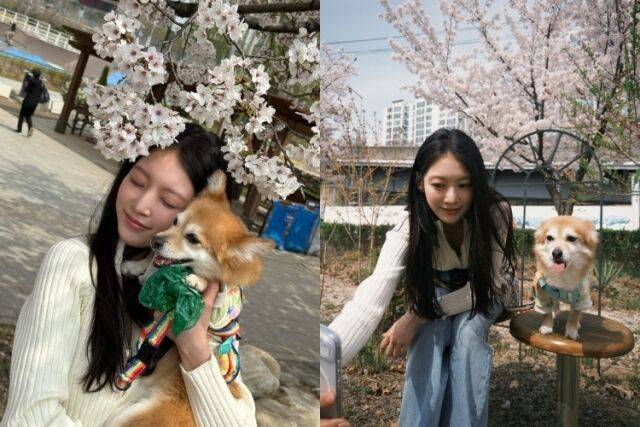 배우 공승연이 반려견과 즐거운 시간을 보냈다. / 공승연 소셜미디어