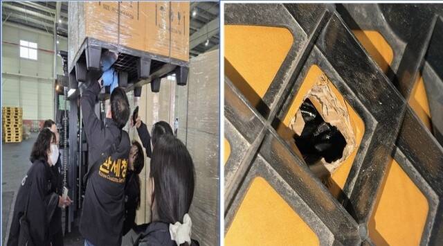 밀수된 마약을 확인하는 관세청 직원들. 수원지검 제공