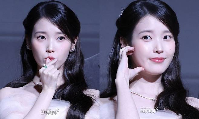 아이유. 사진| 스타투데이 DB