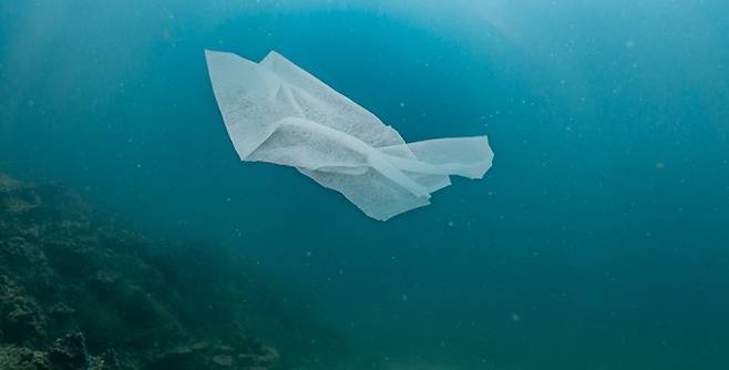 게티이미지뱅크, 과학동아 제공