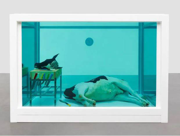 데미안 허스트 작 '살아 있는 자의 마음속에 있는 죽음의 육체적 불가능성' 일부분