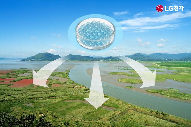 순천만 갯벌에 '마린 글라스'를 적용하는 모습./자료=LG전자