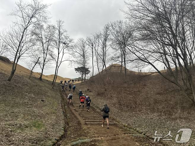동촌리가야고분군 일대를 오르는 트레일러너들 /뉴스1 이상휼 기자