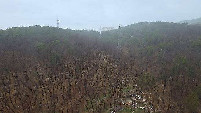 옛 뤼순감독 공동묘지가 있던 중국 랴오닝성 다롄시 둥산포 문화재 보호지역. 사진 이도성 특파원