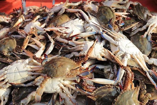 사진=게티이미지뱅크