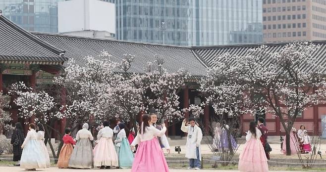 포근한 날씨를 보인 29일 서울 종로구 경복궁을 찾은 외국인관광객들이 봄꽃을 배경으로 추억을 남기고 있다. 사진=뉴스1