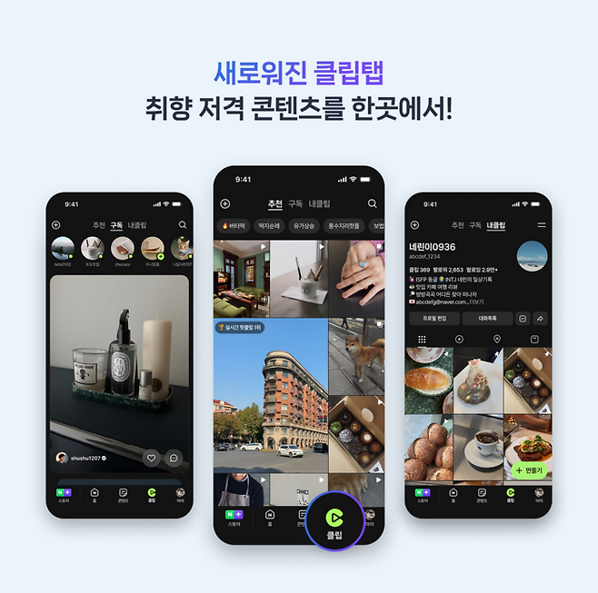 〈자료 네이버〉