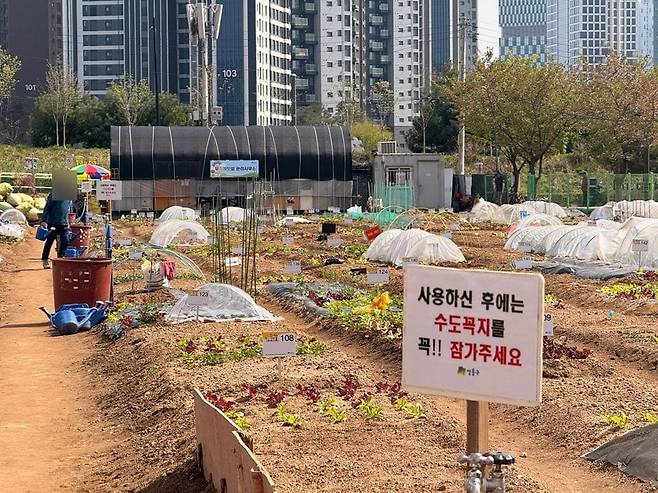 지난 13일 서울 성동구 무지개 텃밭 입구에서 한 시민이 물을 퍼고있다. /이호준 기자