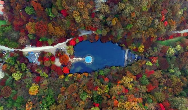 가을 명소 정읍 내장산