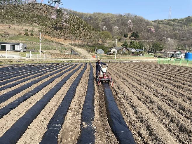 15일 충남 천안시 양곡리의 한 밭에서 유관형(61) 씨가 농기계를 이용해 두둑에 필름을 씌우며 봄 농사 준비 작업을 하고 있다. 이정훈 기자