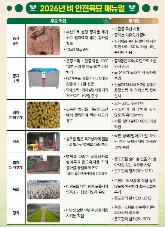 2026년 벼 안전육묘 매뉴얼. 구미시 제공