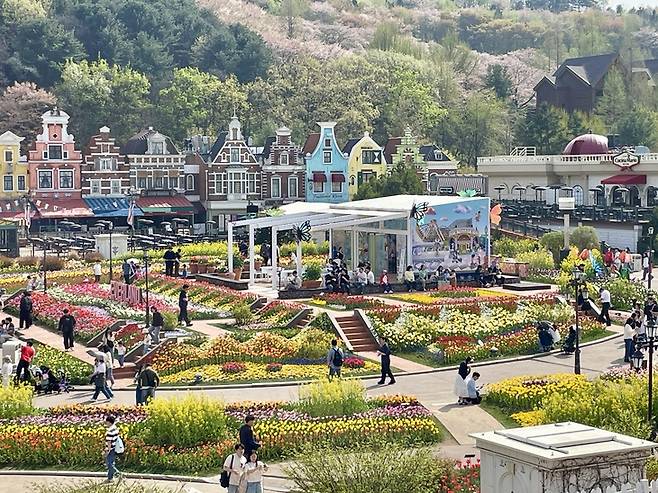 ▲이달 30일까지 열리는 에버랜드 튤립축제 전경.사진=백솔미 기자