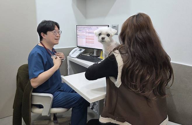 최기현 부천 해든동물의료센터 원장이 진료를 보고 있다. ⓒ 뉴스1 한송아 기자