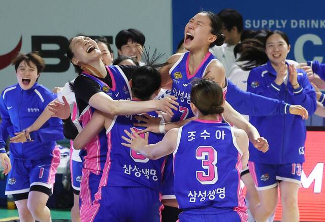 용인 삼성생명 선수단이 'BNK 금융 2025-2026 여자프로농구’ 플레이오프에서 부천 하나은행을 꺾고 챔피언결정전 진출을 확정지은 뒤 기쁨을 나누고 있다.연합뉴스