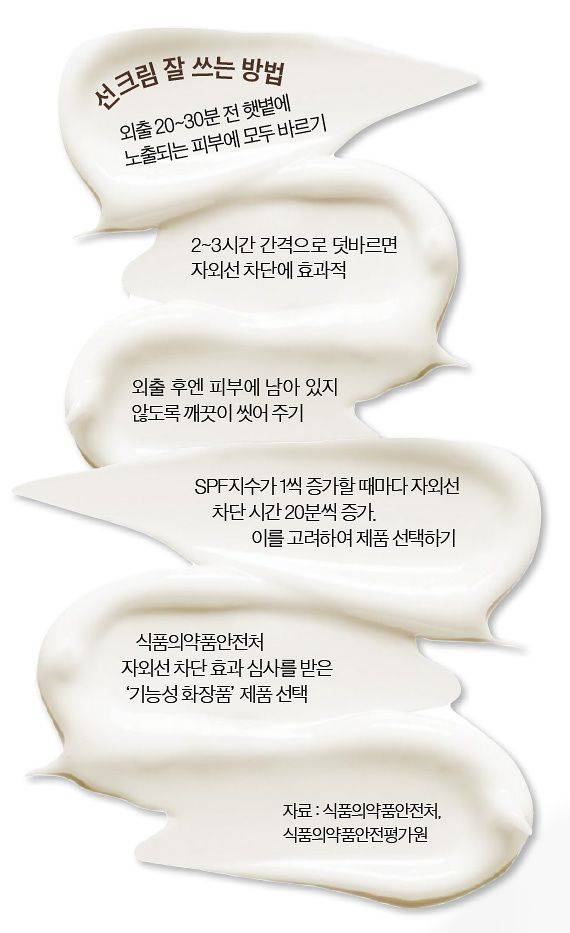그래픽=이윤채 기자