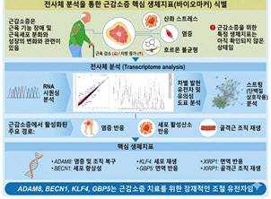 위 그림은 아시아인 유전체 데이터를 활용해 감소증 유발 핵심 유전자를 식별하는 연구 과정을 요약한 것이다. 분석을 통해 도출된 ADAM8(염증 및 조직 복구), BECN1(세포 항상성), KLF4(세포 재생), GBP5(면역 반응) 등 4가지 유전자는 근감소증의 진단과 치료를 위한 잠재적 표적으로 제시됐다.