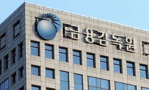 금감원